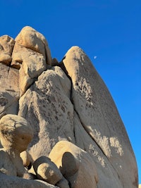 joshua tree national park, california